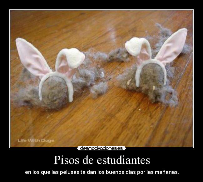 Pisos de estudiantes -