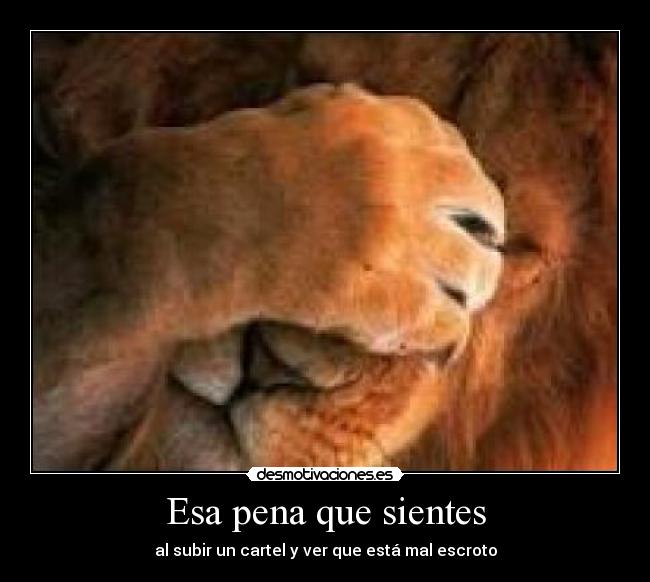 Esa pena que sientes - al subir un cartel y ver que está mal escroto
