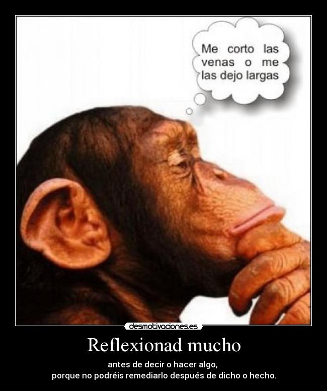 Reflexionad mucho -