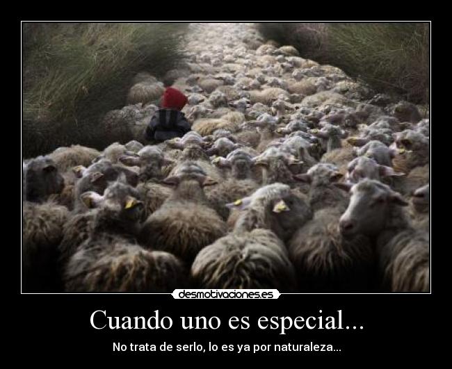 carteles especial unico desmotivaciones