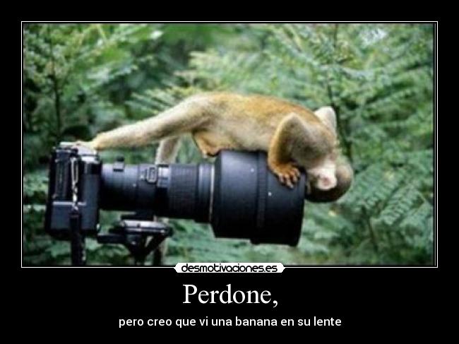 Perdone, - pero creo que vi una banana en su lente