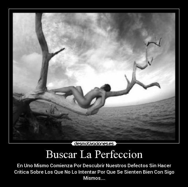 carteles mala perfeccion desmotivaciones