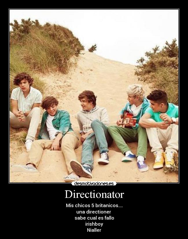 carteles one direction mas que todo desmotivaciones