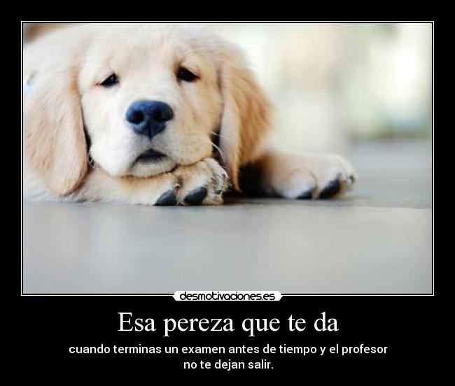 Esa pereza que te da - cuando terminas un examen antes de tiempo y el profesor
no te dejan salir.