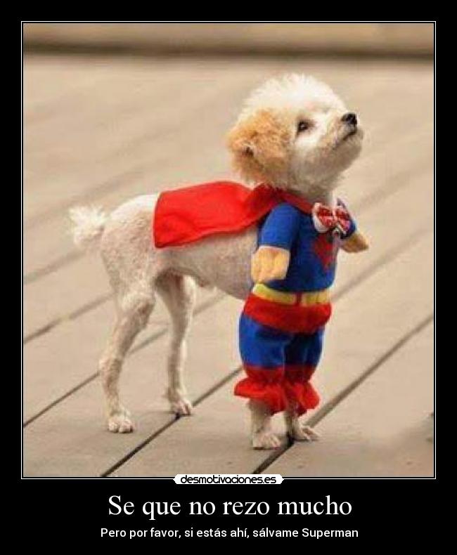 Se que no rezo mucho - Pero por favor, si estás ahí, sálvame Superman