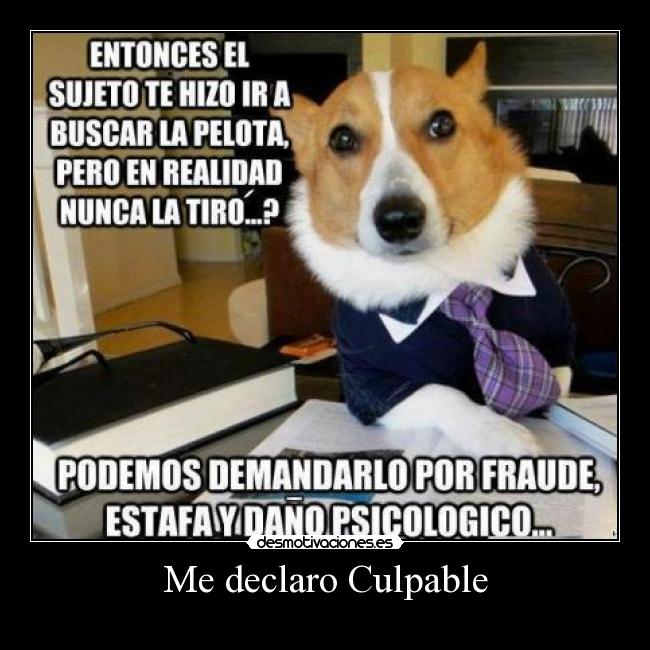 Me declaro Culpable -