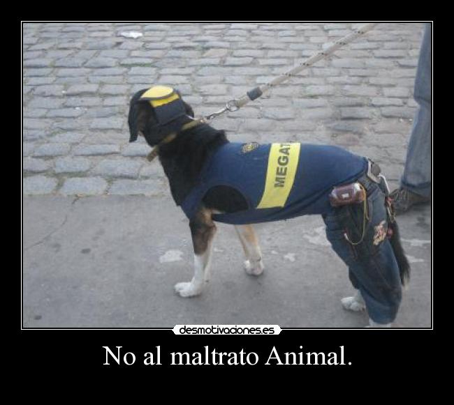 No al maltrato Animal. - 