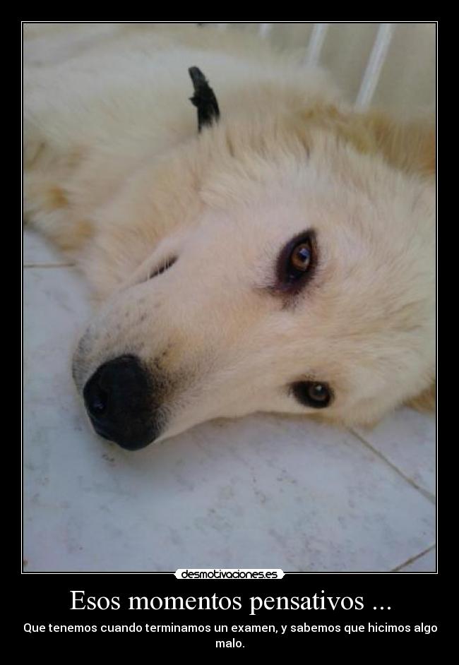 Esos momentos pensativos ... - Que tenemos cuando terminamos un examen, y sabemos que hicimos algo malo.