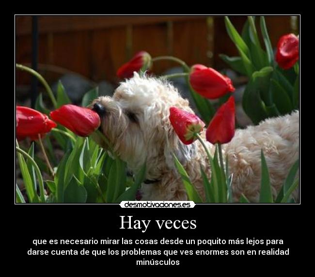 Hay veces - 