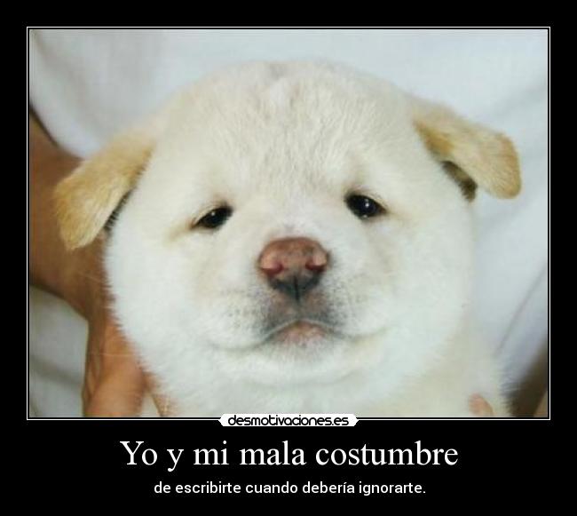 Yo y mi mala costumbre - de escribirte cuando debería ignorarte.