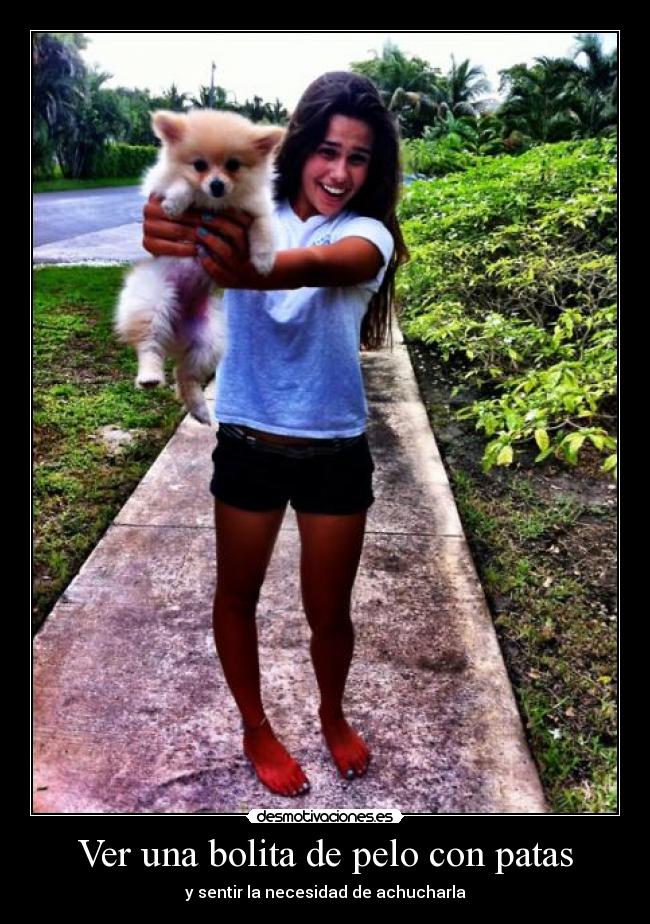 Ver una bolita de pelo con patas - 