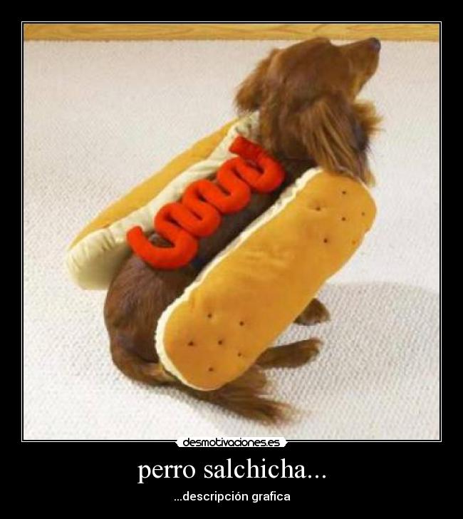 perro salchicha... - 