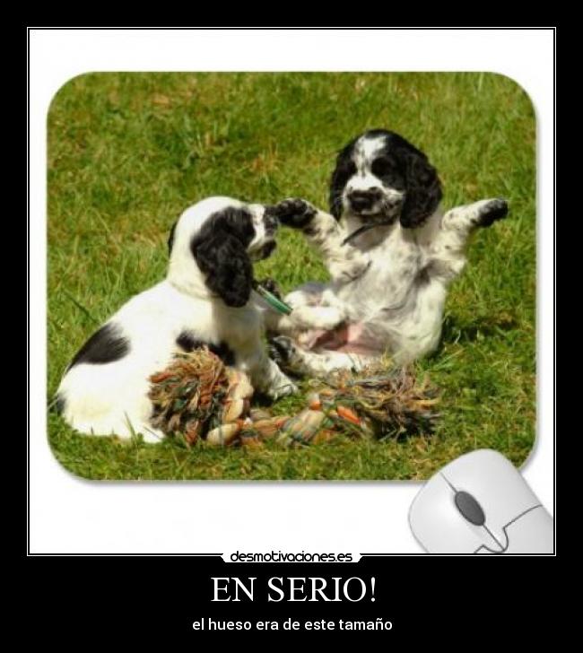 EN SERIO! - 