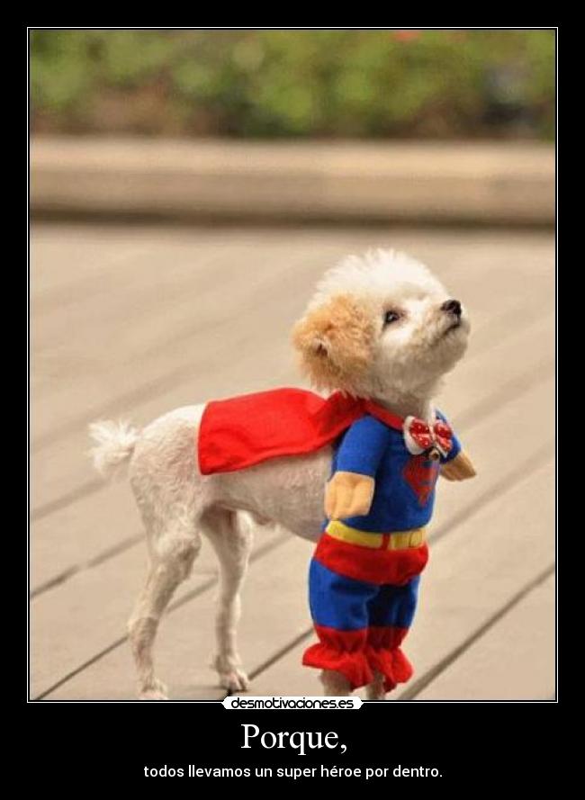 Porque, - todos llevamos un super héroe por dentro.