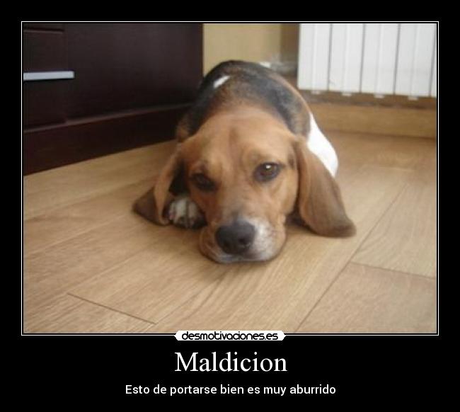 Maldicion -