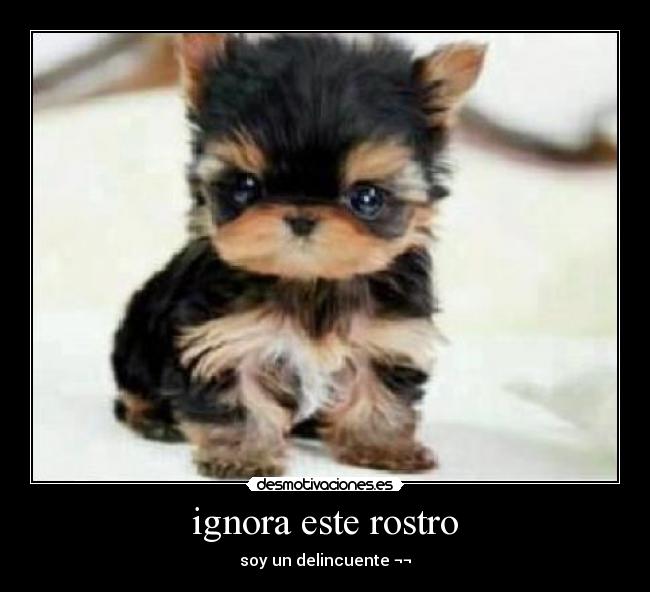 carteles cute desmotivaciones