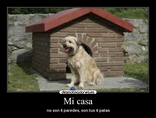 Mi casa - no son 4 paredes, son tus 4 patas