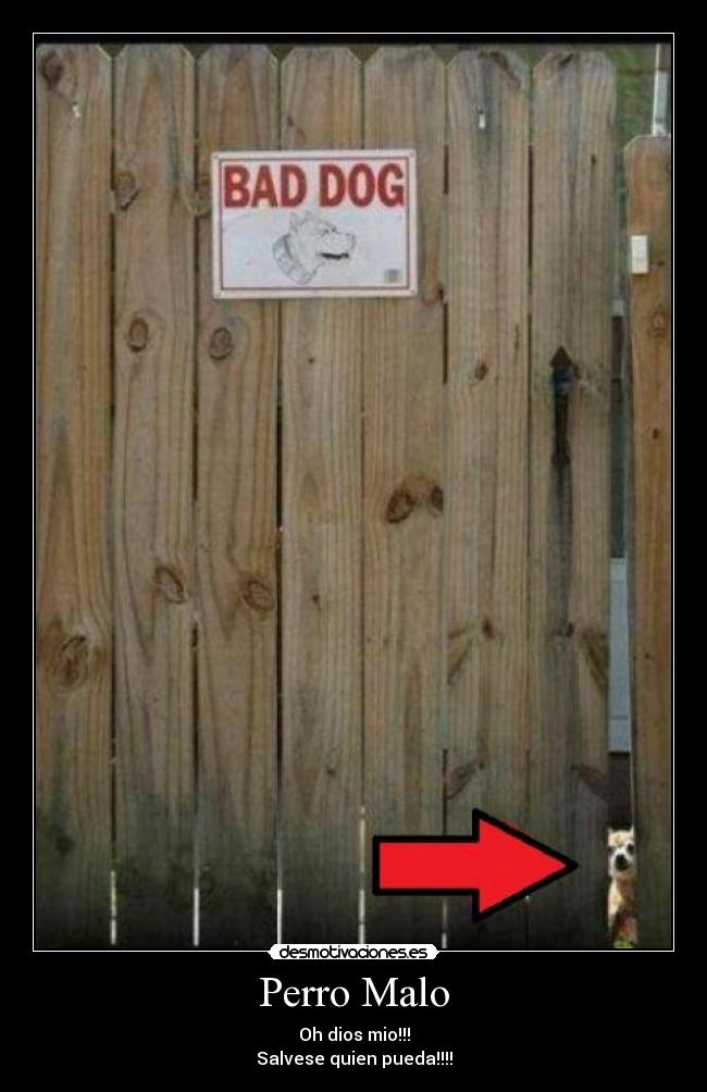 Perro Malo - Oh dios mio!!!
Salvese quien pueda!!!!