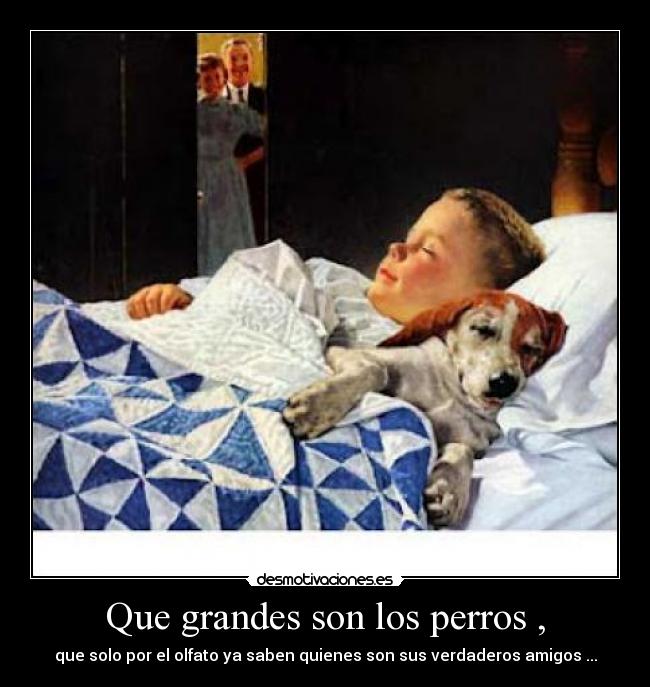 Que grandes son los perros , - que solo por el olfato ya saben quienes son sus verdaderos amigos ...
