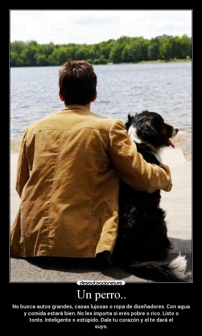 Un perro.. - No busca autos grandes, casas lujosas o ropa de diseñadores. Con agua
y comida estará bien. No les importa si eres pobre o rico. Listo o
tonto. Inteligente o estúpido. Dale tu corazón y el te dará el
suyo.