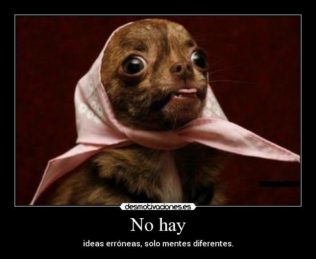 No hay - ideas erróneas, solo mentes diferentes.