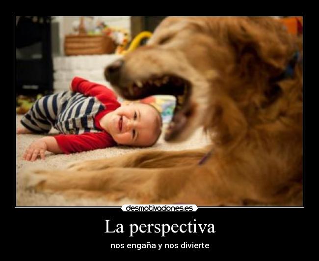 carteles sigueme twitter cuenta lgns desmotivaciones