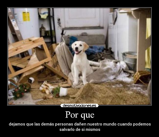 Por que - dejamos que las demás personas dañen nuestro mundo cuando podemos
salvarlo de si mismos
