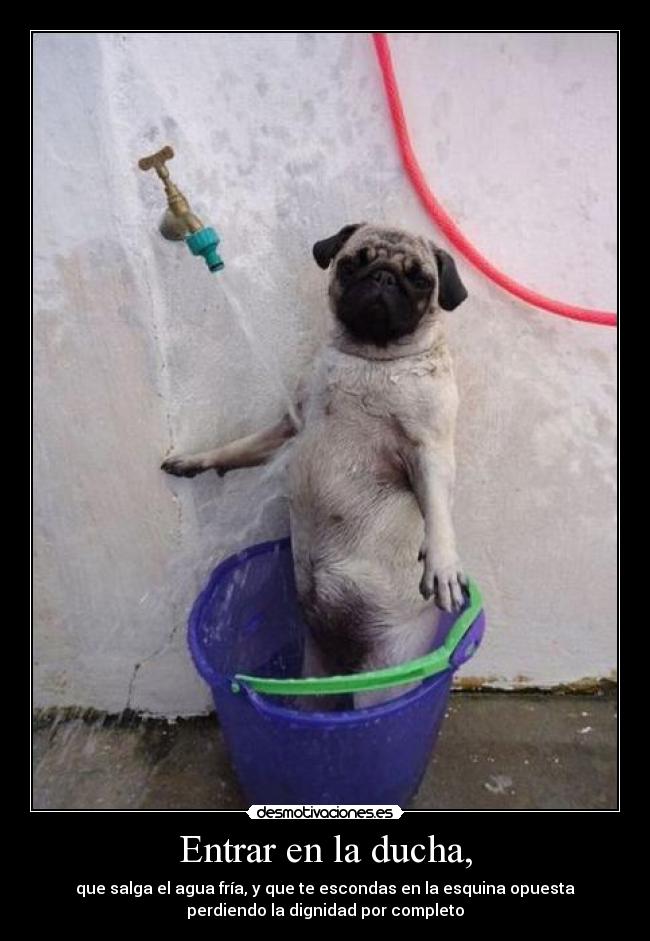 Entrar en la ducha, - 