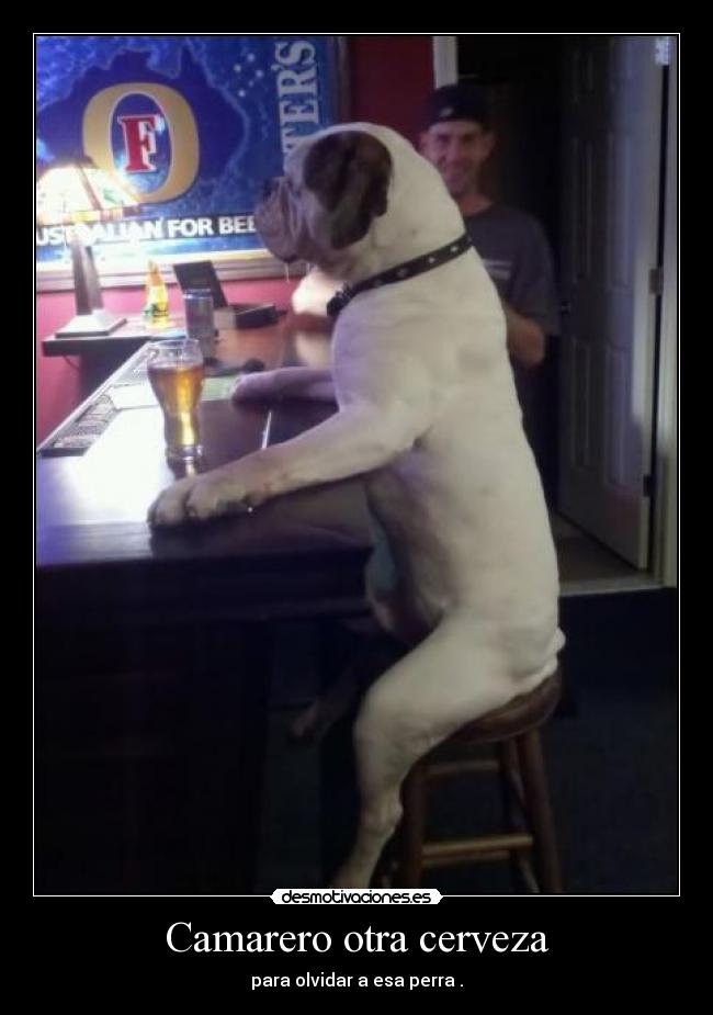 Camarero otra cerveza - para olvidar a esa perra .