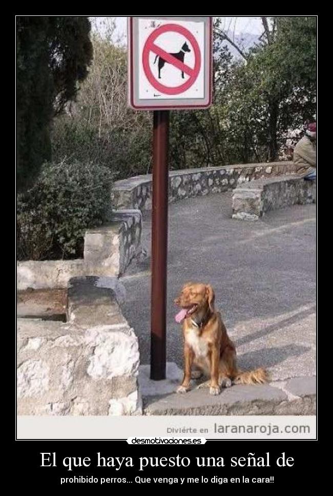 El que haya puesto una señal de - 