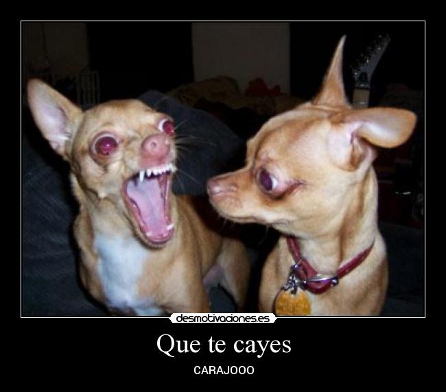 carteles cmenassa desmotivaciones