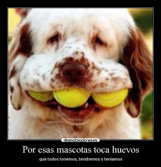 carteles secilo1 desmotivaciones