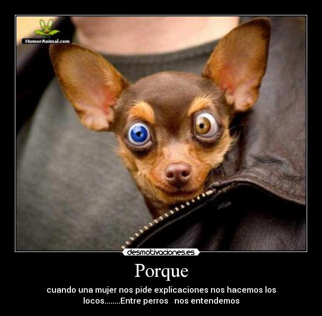Porque - cuando una mujer nos pide explicaciones nos hacemos los
locos........Entre perros nos entendemos