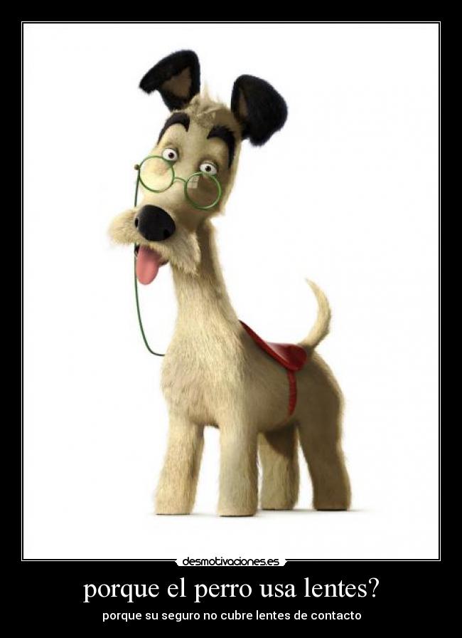 porque el perro usa lentes? -