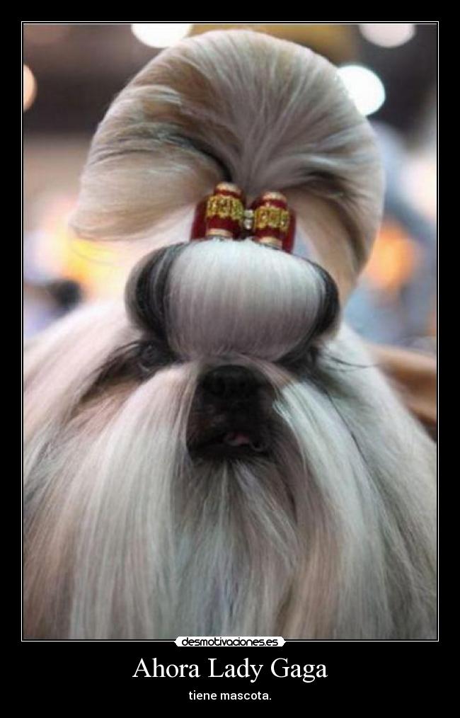 Ahora Lady Gaga -