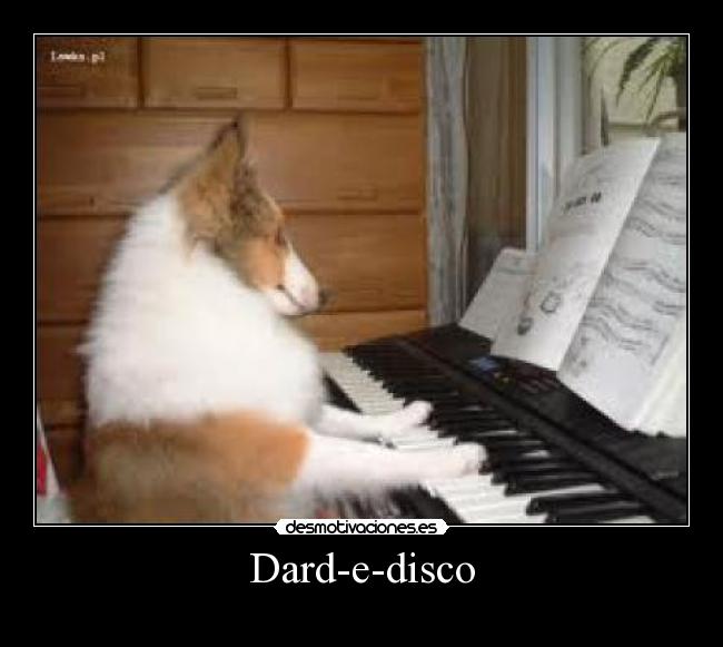 Dard-e-disco -