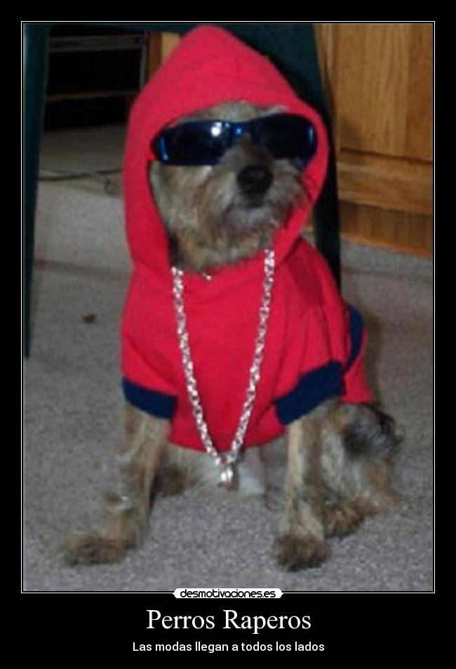 Perros Raperos - Las modas llegan a todos los lados