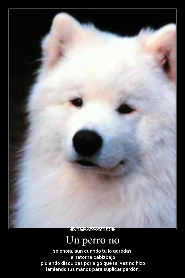 Un perro no - 