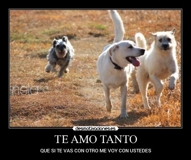 TE AMO TANTO - QUE SI TE VAS CON OTRO ME VOY CON USTEDES