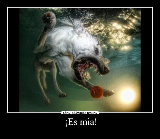 ¡Es mia! -