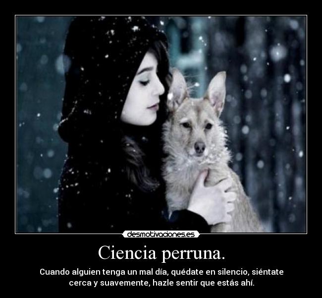 carteles cuando alguien tenga mal dia quedate silencio sientate cerca suavemente hazle sentir que desmotivaciones