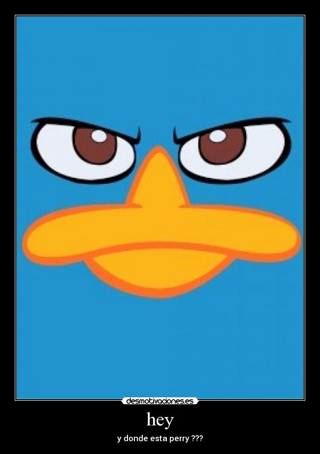 hey - y donde esta perry ???