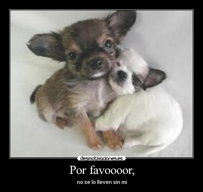 Por favoooor, - 