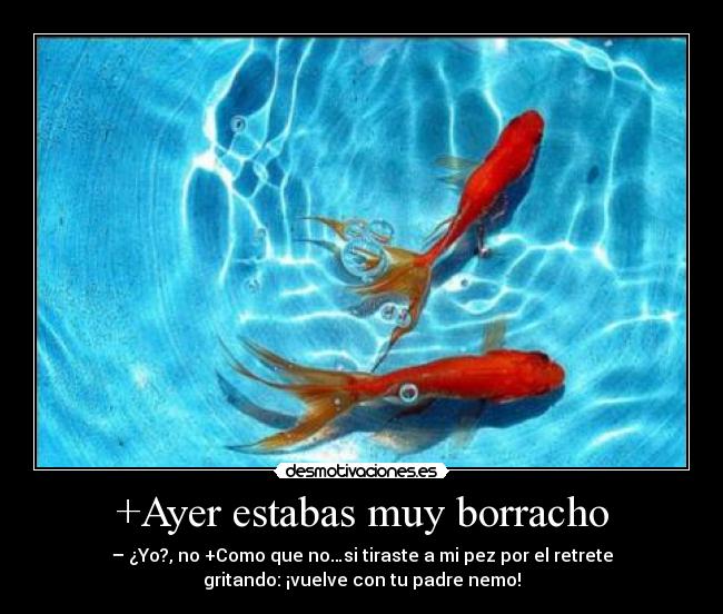 +Ayer estabas muy borracho - 