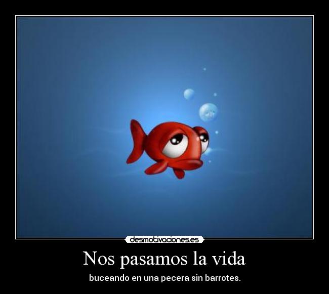 Nos pasamos la vida - buceando en una pecera sin barrotes.