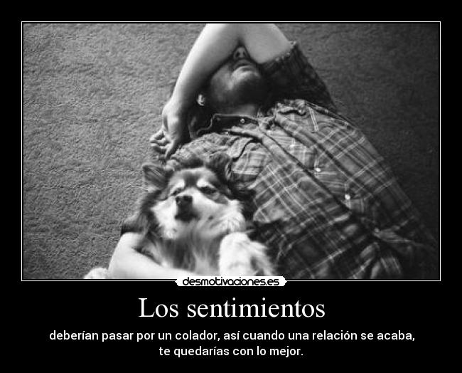 Los sentimientos - 