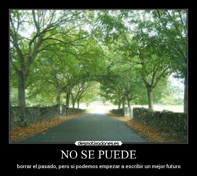 NO SE PUEDE - 