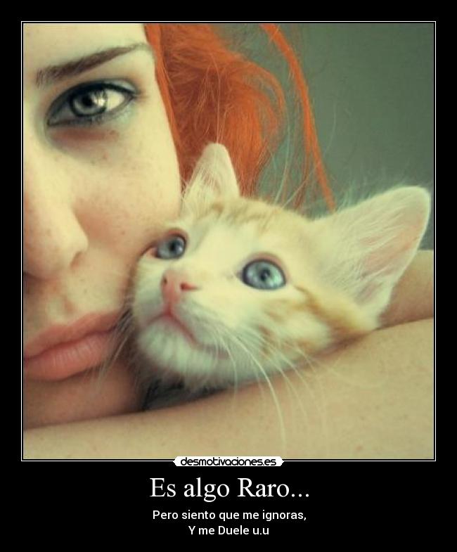 Es algo Raro... -