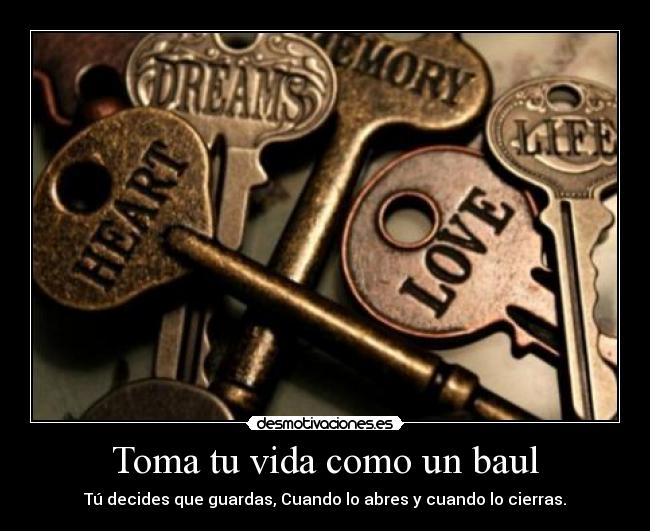 carteles vida vida baul desmotivaciones