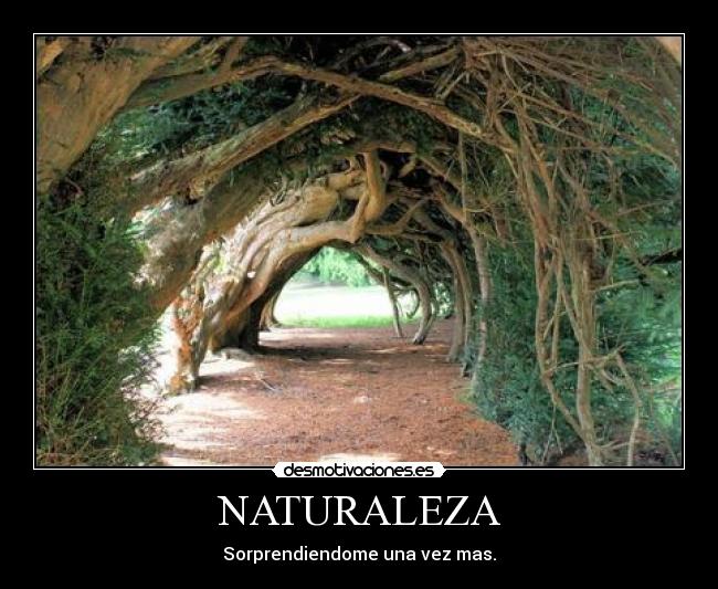 NATURALEZA - Sorprendiendome una vez mas.